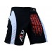 ARD CHAMPS™ Pro MMA Fight Shorts UFC Cage Fight Grappling Muay Thai Boxing